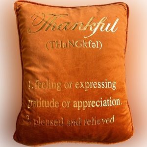 NWOT🌟THANKFUL 18 x 14” Burnt Orange Feather Inspirational Pillow